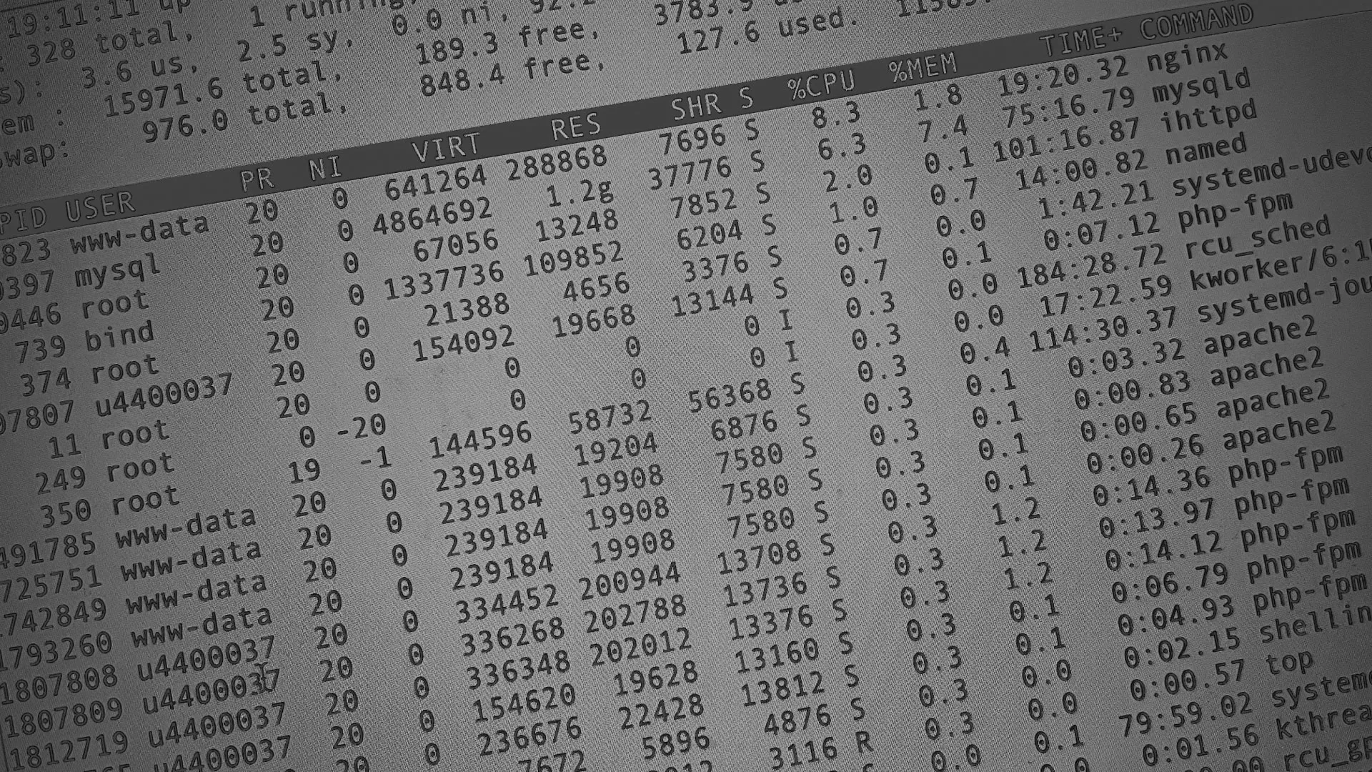 Настройка сервера в Ессентуках